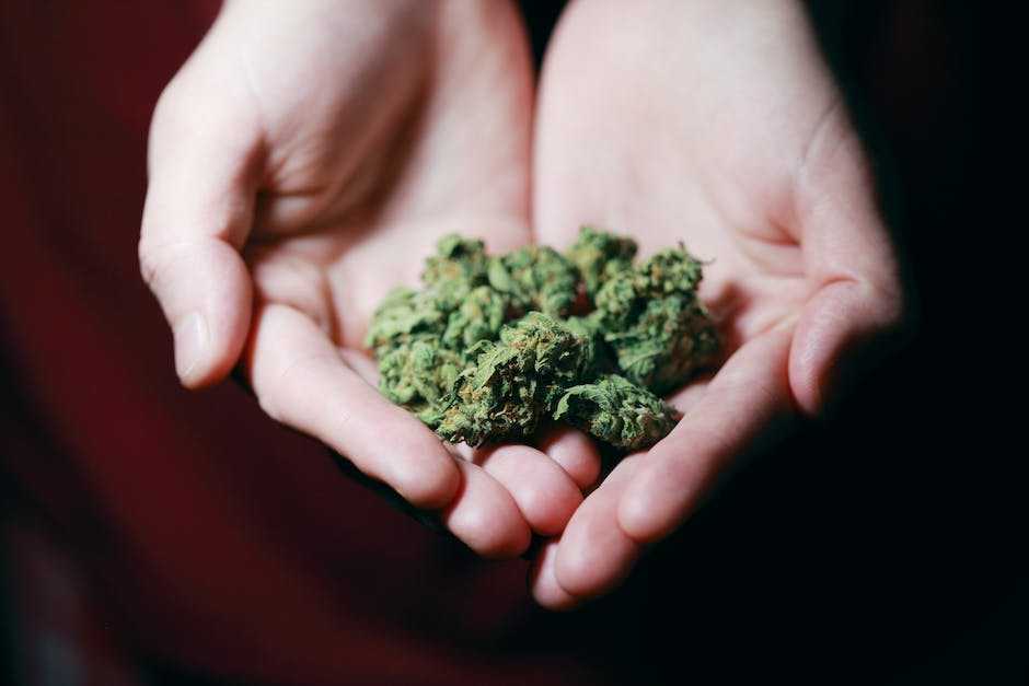 Why Potency Matters: The Impact of Potency on Medical Marijuana Treatment
